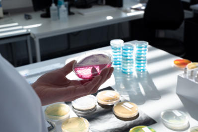 Microbiology testing food