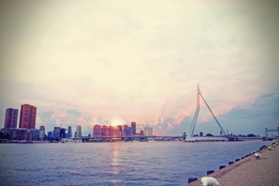 Rotterdam bilacon